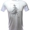 Camiseta Cannabis Sativa - Busto