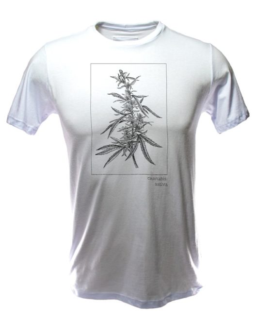 Camiseta Cannabis Sativa - Busto