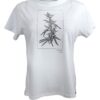 Camiseta Maconha - Cannabis Sativa - Image 4