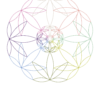 Estampa Logo - Camiseta Cannabis Affair 2021