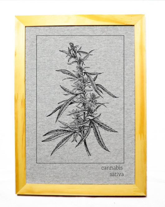 Quadro Pinus - Cannabis Sativa - Cinza
